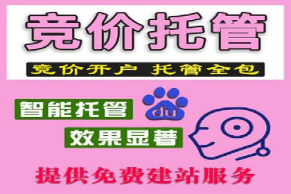 百度推广服务费案例：实现精准营销策略